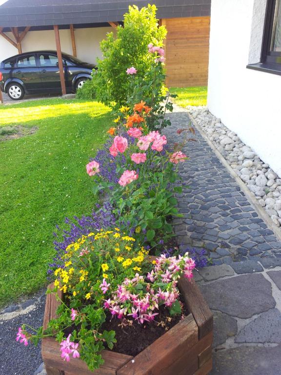 Ferienwohnung Evangeline Borsch Zell Exterior foto