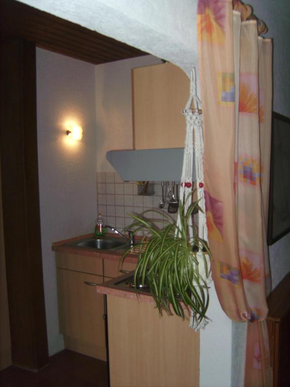 Ferienwohnung Evangeline Borsch Zell Exterior foto